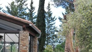 A house with a stone exterior, a glass door, and a well-maintained garden with various plants and trees. - Large villa with 11x5m pool in 7700 M2 grounds. Veranda and multiple terraces. (Montescot)