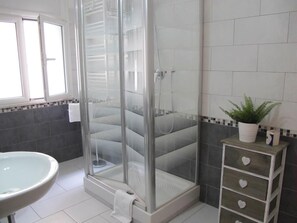 Shower, hair dryer, bidet, towels