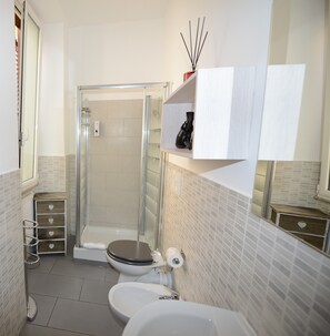 Shower, hair dryer, bidet, towels