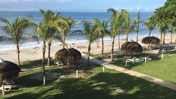 Une plage avec vue sur des palmiers, des parasols en chaume et des chaises longues.