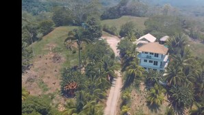 Une vue aérienne d’une maison entourée de palmiers et de verdure, avec un chemin de terre qui y mène.