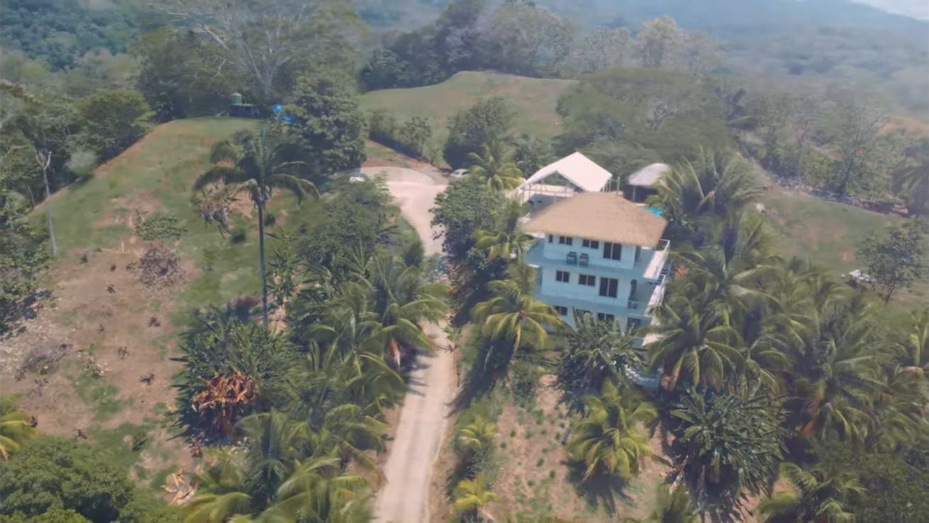 An aerial view of a house surrounded by palm trees and greenery, with a dirt path leading to it.