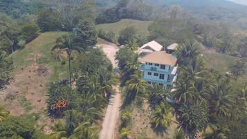 An aerial view of a house surrounded by palm trees and greenery, with a dirt path leading to it.
