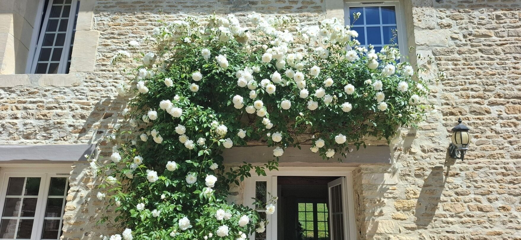 Detalle del exterior