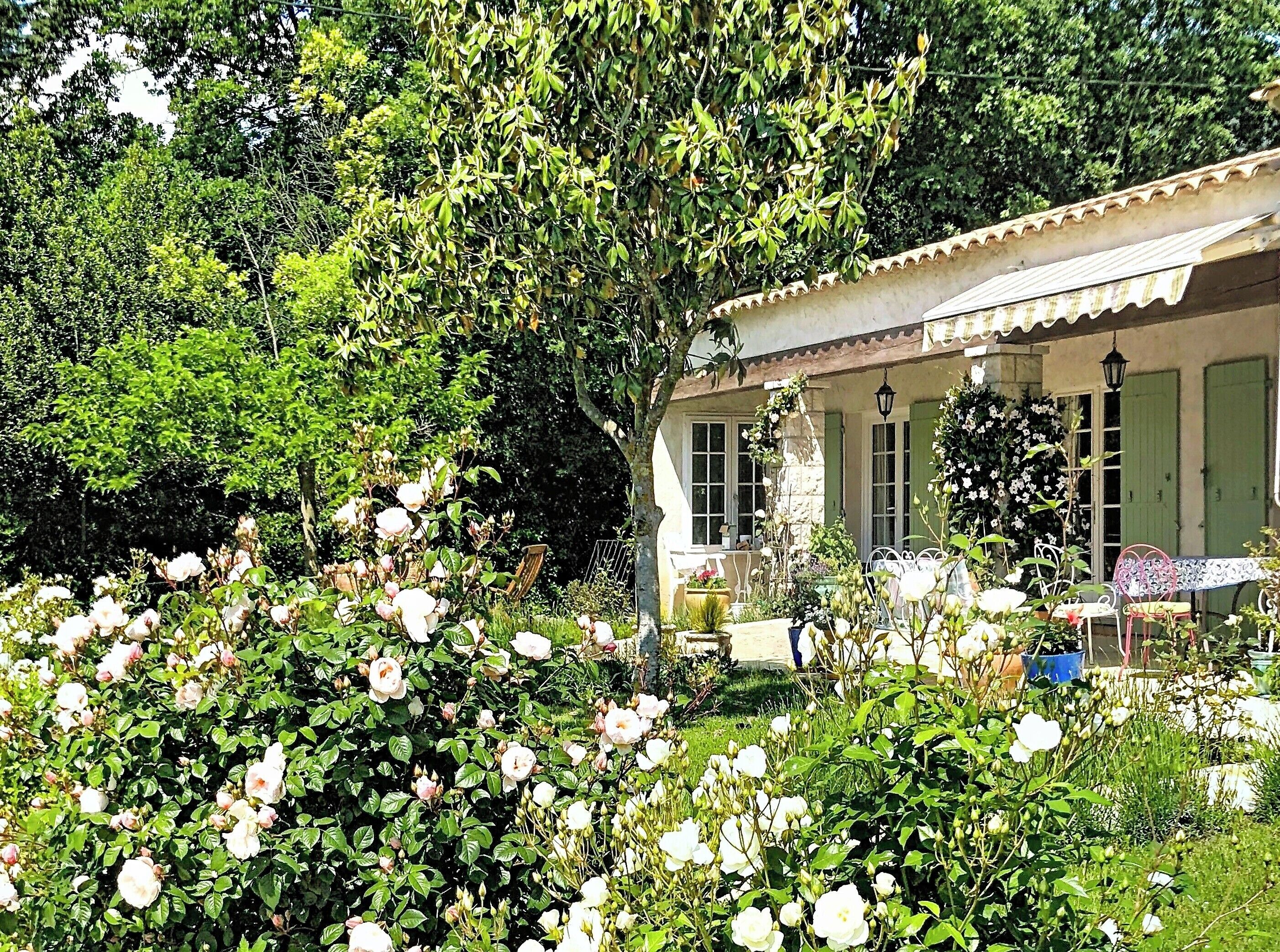 Overnattingsstedets uteområder