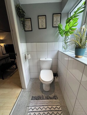 Sèche-cheveux, serviettes fournies, savon, papier toilette