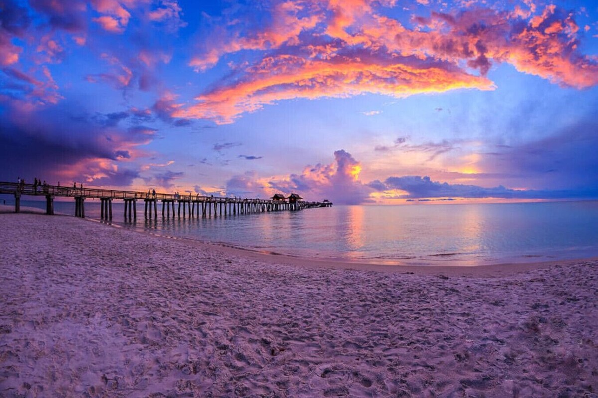 オーナーのプロフィール画像