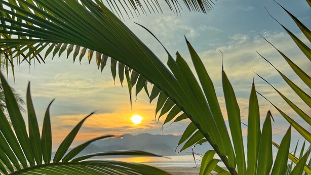 Eine Strandansicht mit Palmen im Vordergrund und einem Sonnenuntergang im Hintergrund.