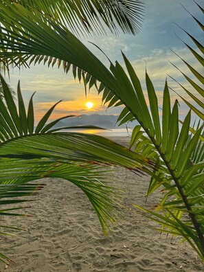 A beach scene with palm leaves in the foreground and a sunset in the background.