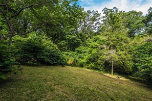 Uklassifisert bilde, 2 av 18, knapp