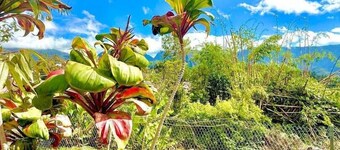 Case Hermione View, garden, 15p Hell-Bourg