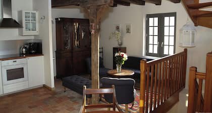 La Tortue Terrasse: charming house in the center of AMboise