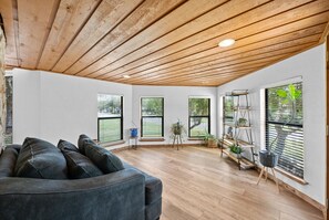 Smart TV, chimenea, libros