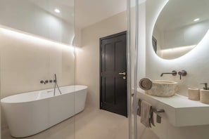 Shower, hair dryer, shampoo, toilet paper