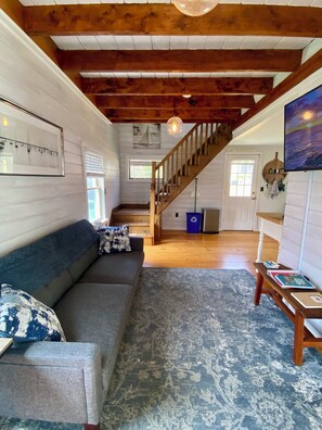 Smart TV, fireplace, books