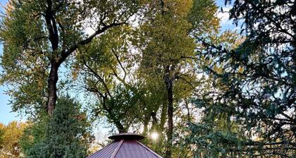 Bear Shed - South Fork, CO