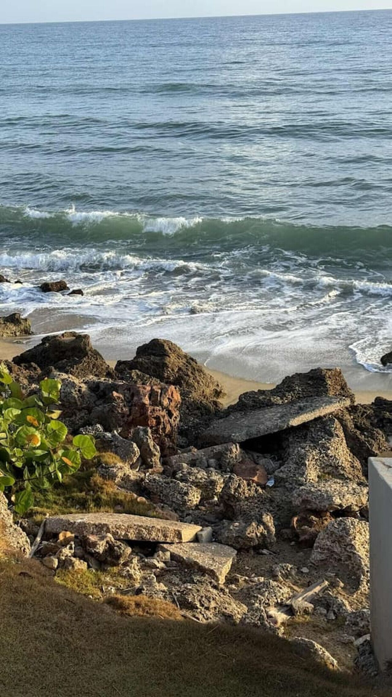 ビーチの近く、サンラウンジャー、ビーチタオル