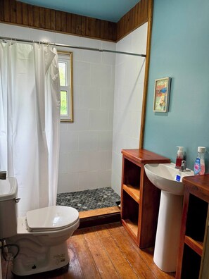 Toallas, papel higiénico