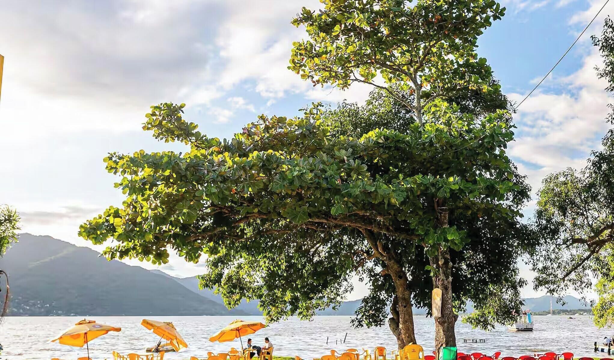 A lakeside setting with outdoor seating under a large tree, a boat on the water, and mountains in the background.