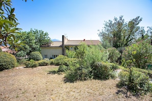 Property grounds - Catlove - Piscine Privée (Eus)