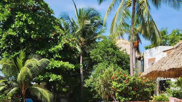 A swimming pool surrounded by lush greenery and palm trees, with a thatched-roof structure nearby. - Pool and Oceanview 3bdrm house Steps to Manzanillo Beach (Puerto Escondido)