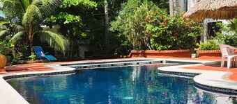 Pool and Oceanview 3bdrm house Steps to Manzanillo Beach