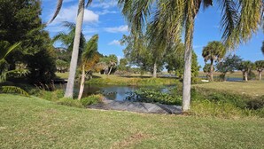 Un parc paisible avec un étang, entouré de palmiers et de pelouses.