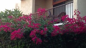 A building with a balcony, surrounded by dense green foliage and vibrant pink flowers. - Palm Springs 2 bed/2bath condo - Great Location / Resort like setting - 2 pools (Palm Springs)