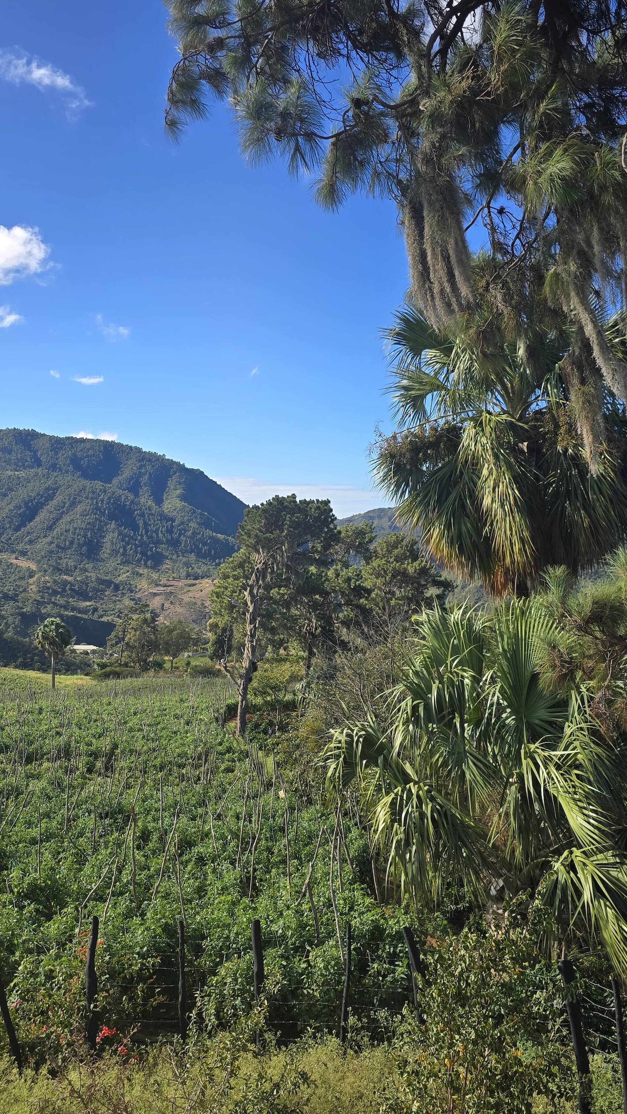 小屋, 2 間臥室, 山景 | 外觀