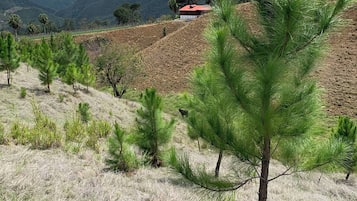Cabin, 2 Bedrooms, Mountain View | Property grounds