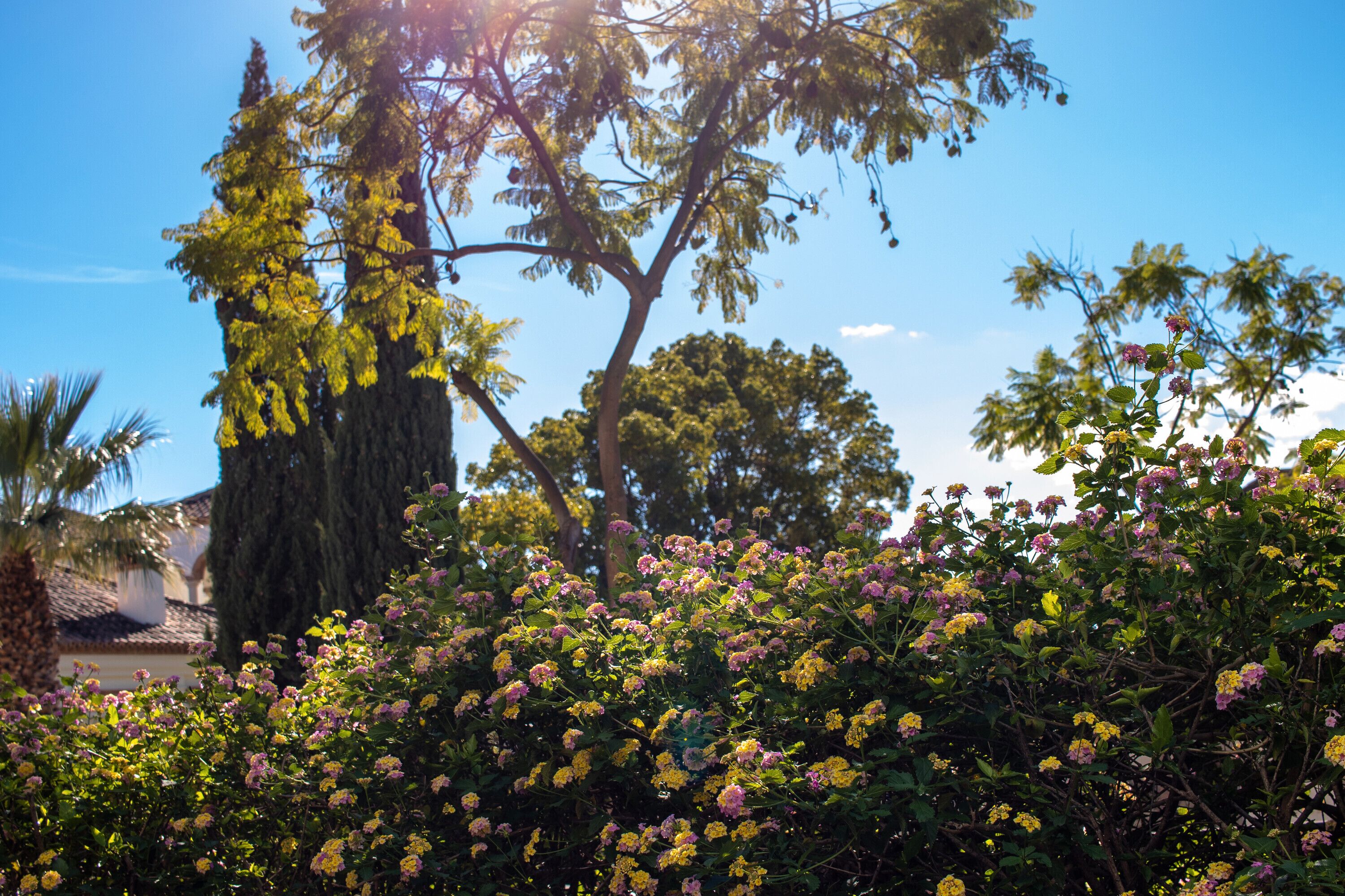 Jardines del alojamiento