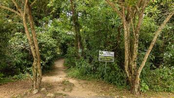 A dirt path leading through a dense forest with a sign prohibiting jogging, cycling, or walking.