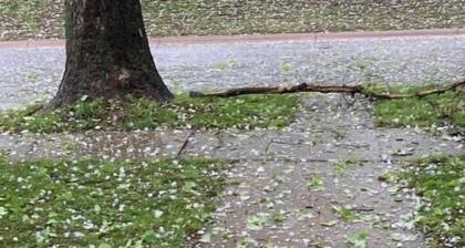 Cozy in the Country no 11% Stw tax