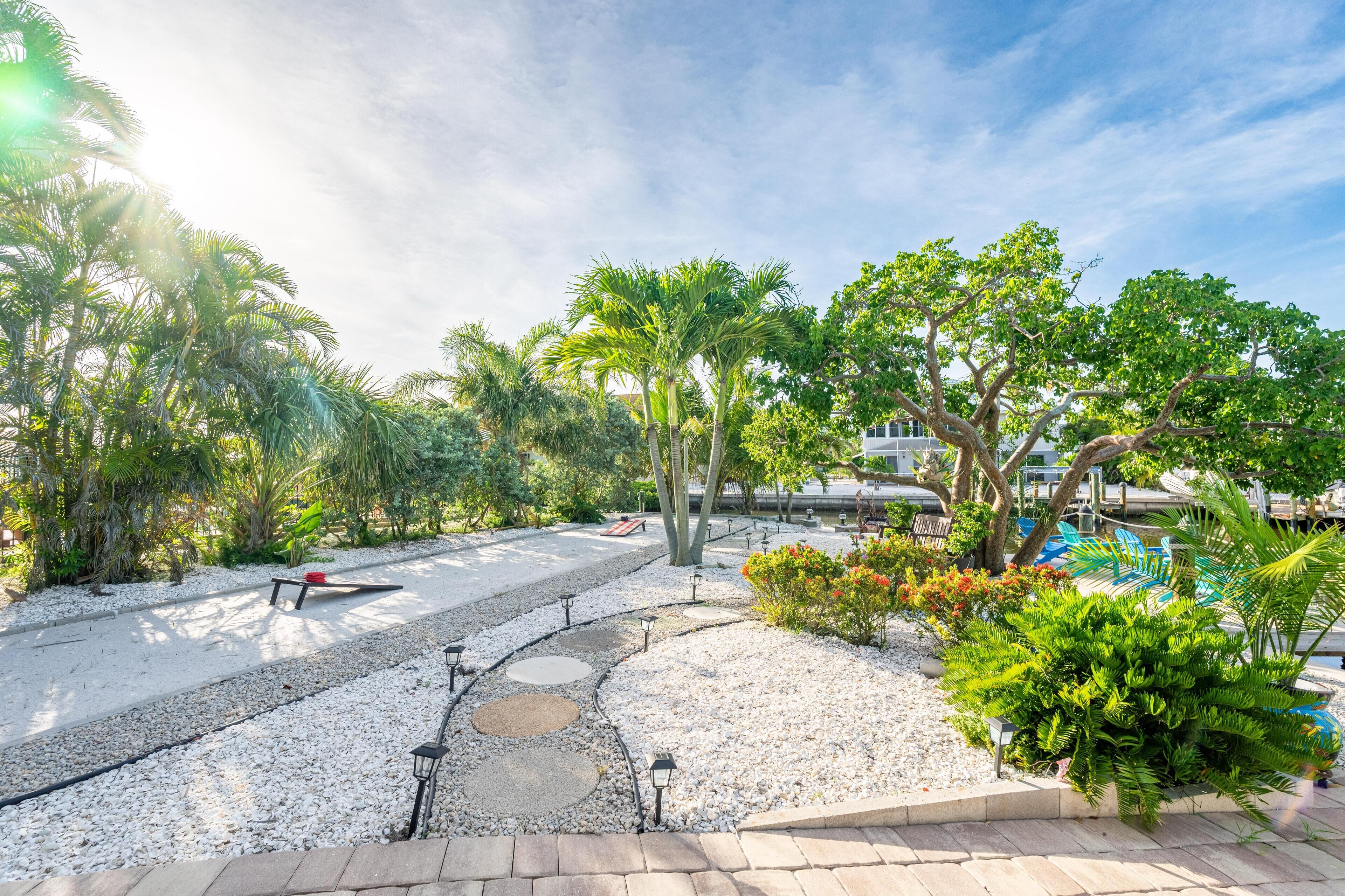A landscaped outdoor area with a pathway, palm trees, and a pool.