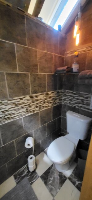 Une salle de bain avec un carrelage au sol, des toilettes, un porte-serviettes et un espace douche.