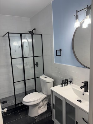 Hair dryer, towels, soap, toilet paper