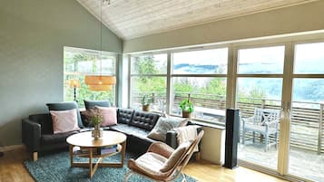 TV, fireplace, computer monitors