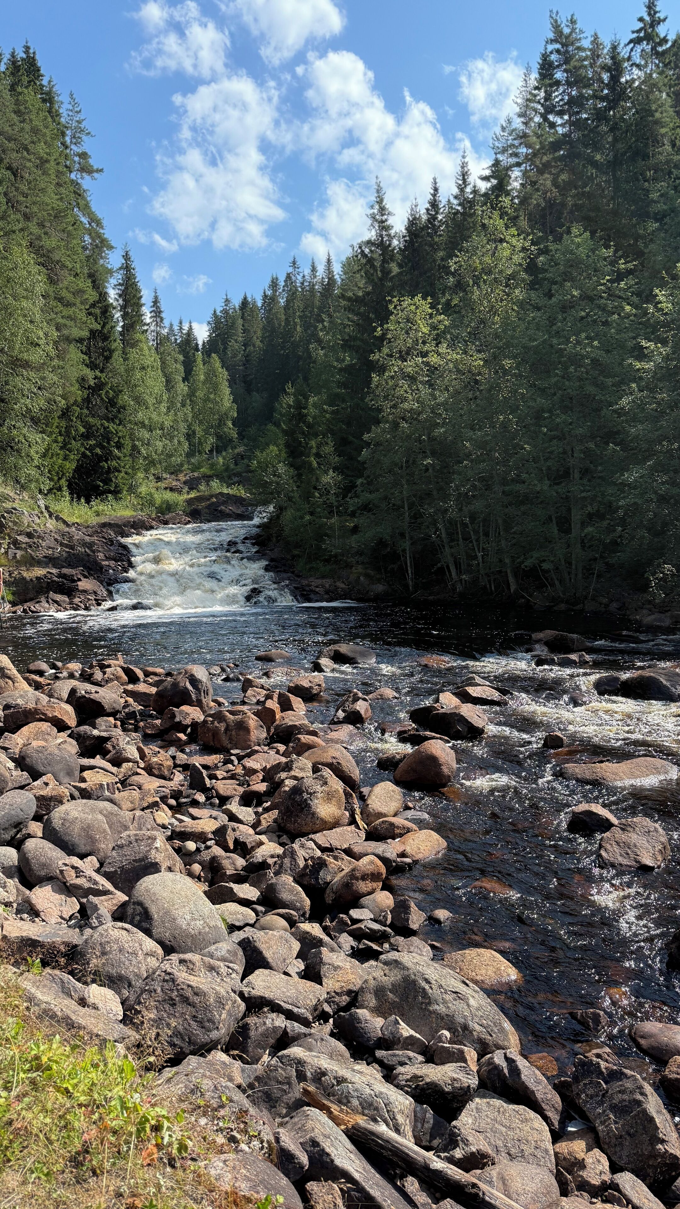 Ein steiniges Flussbett mit fließendem Bach, umgeben von dichtem Wald.