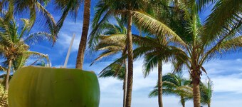 Real Beachfront paradise apartment