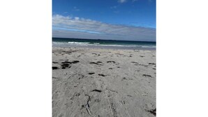 Une plage de sable avec des empreintes et une vue dégagée sur l’océan, sous un ciel bleu.