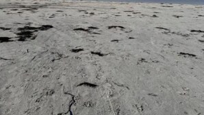 A sandy beach with footprints and a clear view of the ocean under a blue sky. - Eidsviklaaven (Møre og Romsdal)