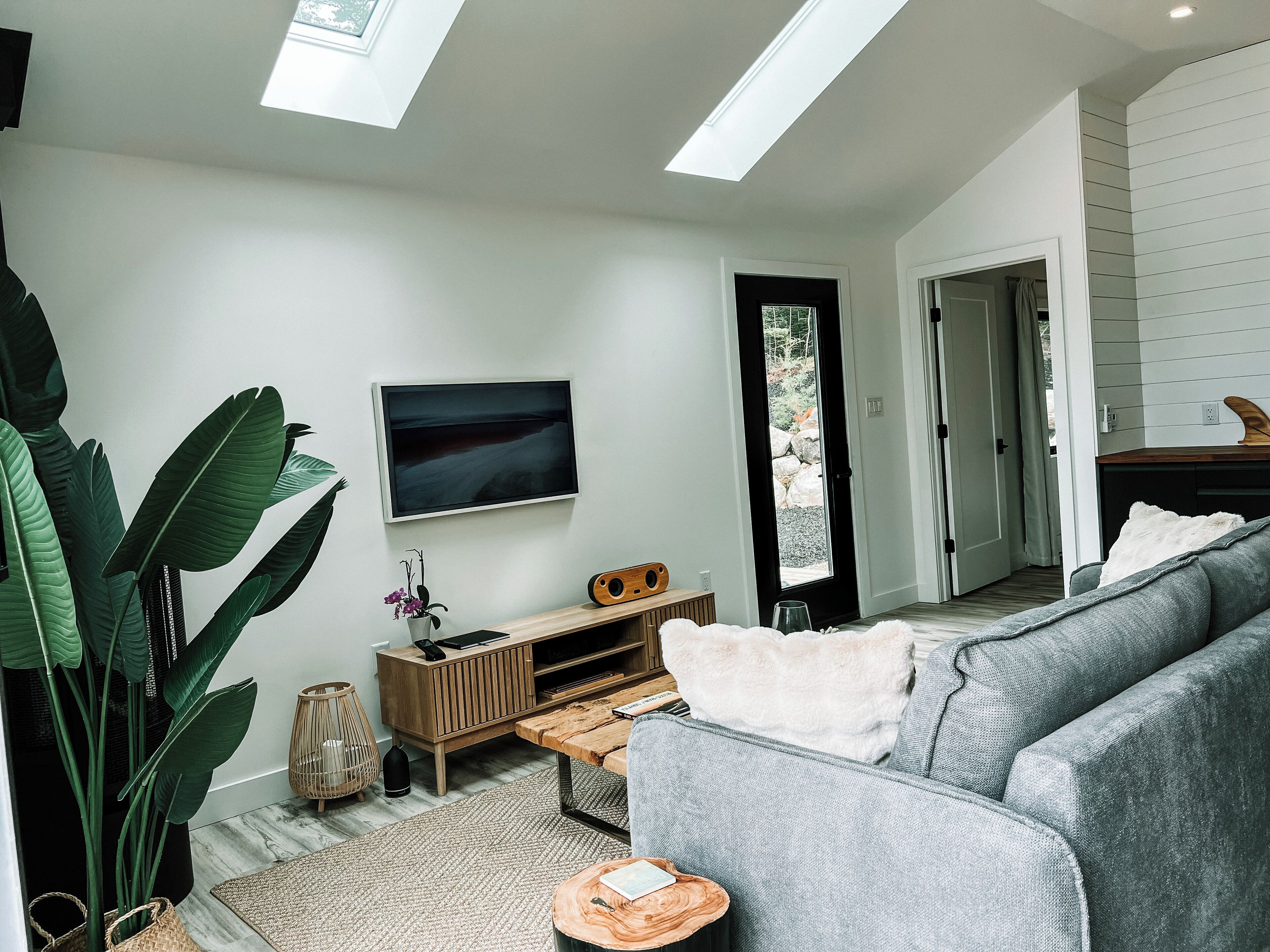 Un salon moderne avec un canapé gris, une table basse en bois, un téléviseur à écran plat et une grande plante.