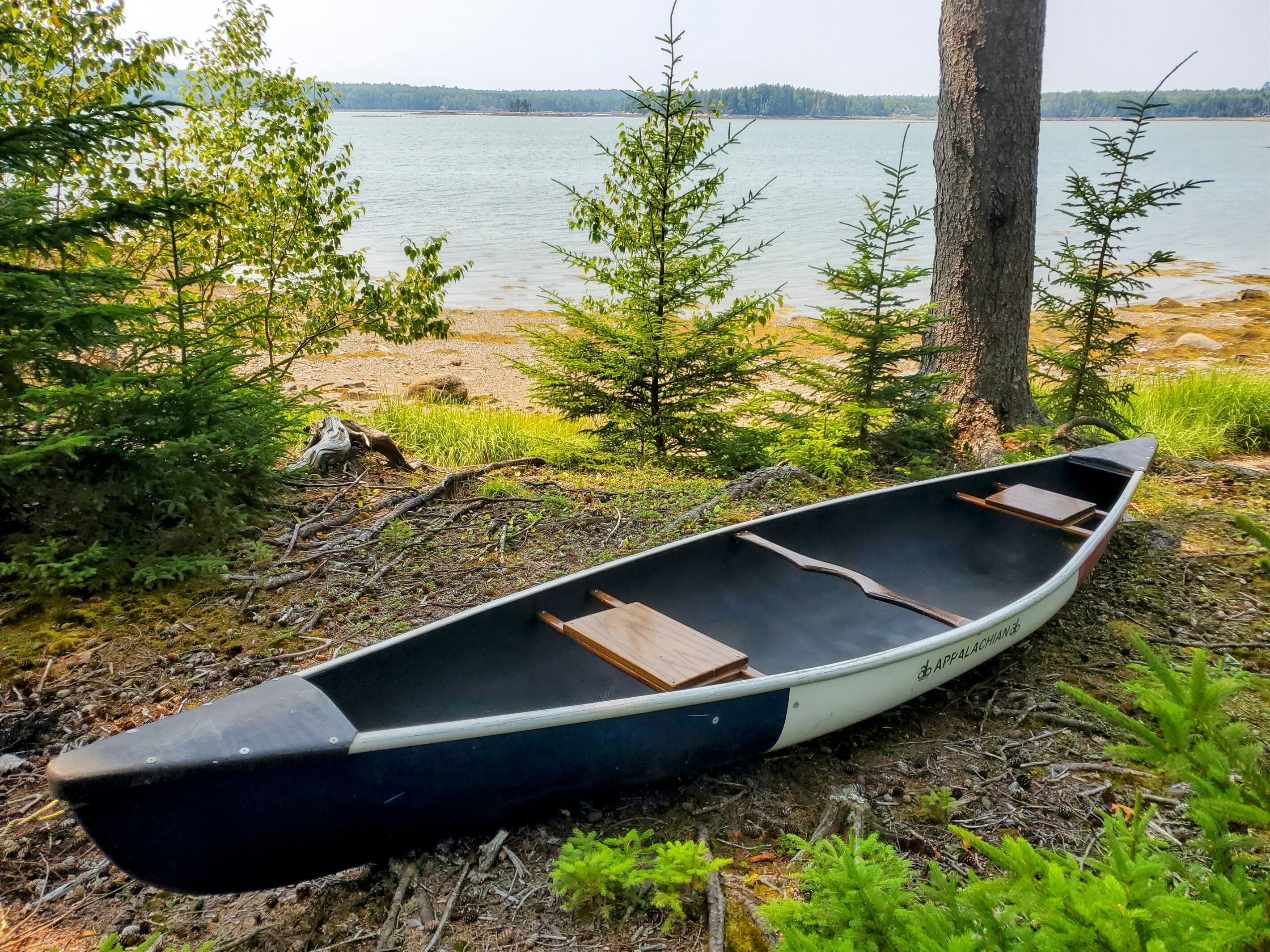 Ranta lähistöllä