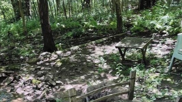 A rustic wooden bridge in a forested area with a small wooden table and rocks nearby. - Spacious Lakeside Hideaway (Newtown)