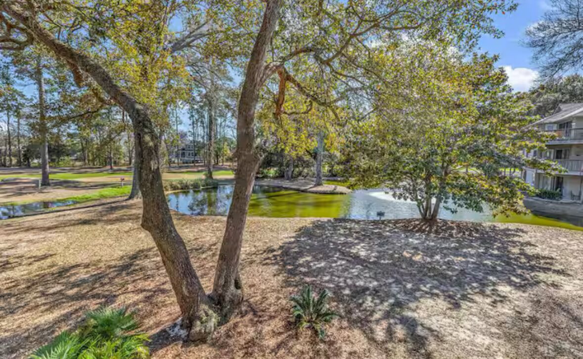 A park with trees, a pond, and a building in the background.