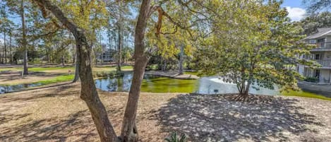 A park with trees, a pond, and a building in the background.