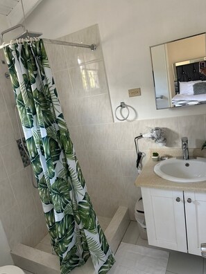 Chuveiro, secador de cabelo, toalhas de banho, sabonete