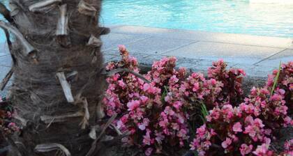 Villa Marbella: Where Comfort Meets Class in the Heart of Belgrade