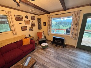 Smart TV, fireplace, books