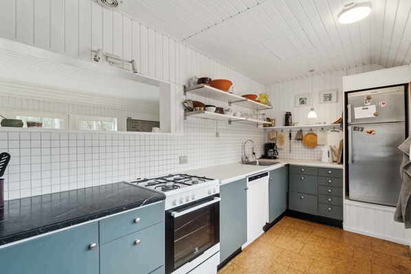Fridge, oven, stovetop, dishwasher